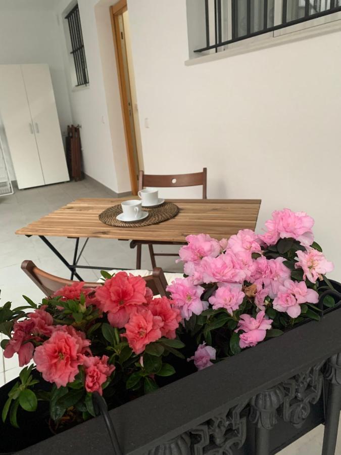 דירות Sanlúcar de Barrameda Casa Vigon מראה חיצוני תמונה
